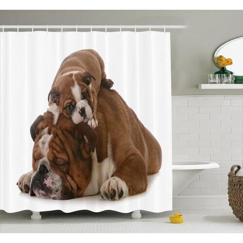 English Bulldog Shower Curtain Father and Son Bulldogs Fathers Day Photograph Domestic Pet Animals Home Decor Bathroom Curtains