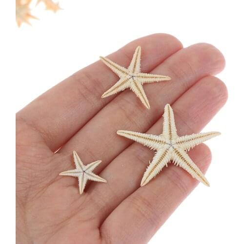 100pcs Sea Shells Size:0.5-3cm Mini Starfish Craft Decoration Natural Sea Stars DIY Beach Cottage Wedding Decor Crafts Wedding