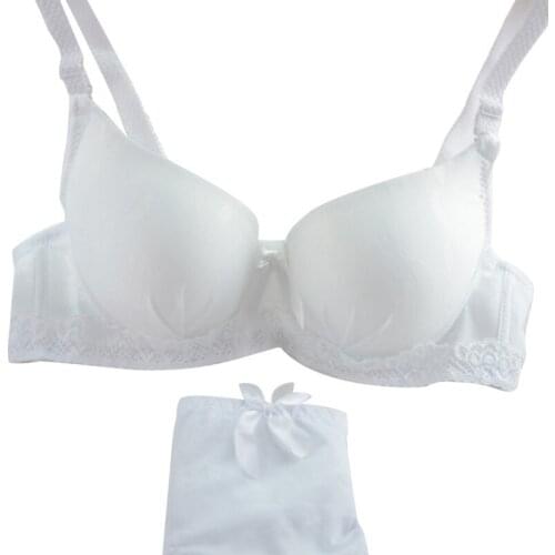 Women Underwear Set Sexy Lace Embroidery Push Up Padded Underwire Bra Suit Outfits New Style