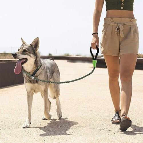 Dog leash Outdoor Training The high quality Nylon Pet Leash Adjustable Traction Collar P Style For Small Large Dogs
