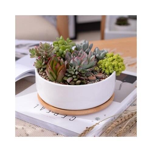 Minimalist White Ceramic Succulent Plant Pot Porcelain Deep Rounded Pot Home Decoration Christmas Gifts
