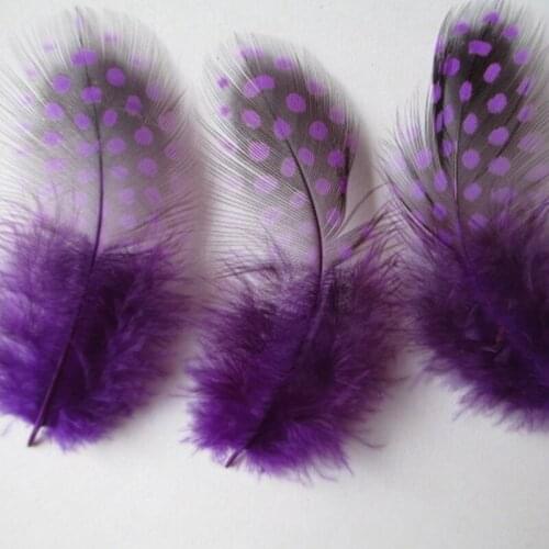 Wholesale 20pcs / lot beautiful purple guinea fowl feathers 2-3 inches / 5-8 cm beautiful dot pattern pearl feather