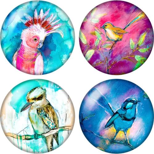 ZB1390 Rainbow lorikeet birds Magpie dragonfly 10pcs 12mm/20mm/25mm Round photo glass cabochon demo flat back Making findings