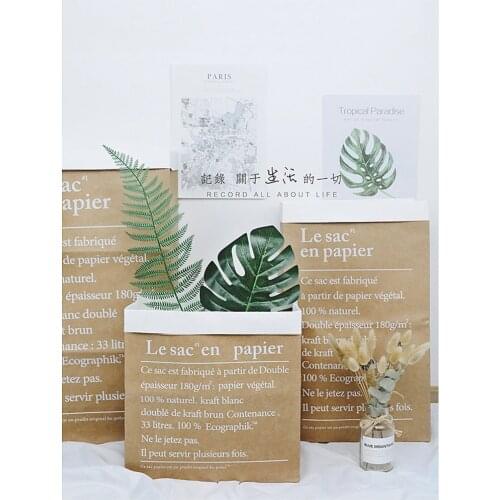 Photography Backdrops Decoration Props Items Double Layer Thickening Kraft Paper Bags Storage Bag & Simulation Leaf Fake Foliage