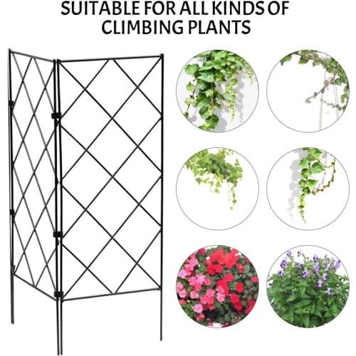 3PCS/Set DIY Plant Support Frame Climbing Trellis Iron Rack Flower Stand Garden Tool 54x21.5x2.5cm