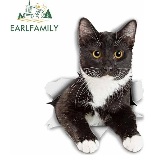 EARLFAMILY 13cm x 9.6cm for Torn Cat Sunscreen Car Stickers Cartoon Decal Anime Waterproof Surfboard Occlusion Scratch Decor
