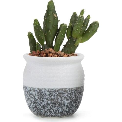 Ceramic Mini Korea Style Snow Serial Succulent Plant Pot Cactus Plant Pot Flower Pot Container Planter