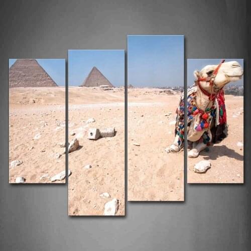 Camel Sear Cloth Sit On Sand Land Near Pyramid Wall Art Painting Pictures Print On Canvas Animal The Picture For Decoration