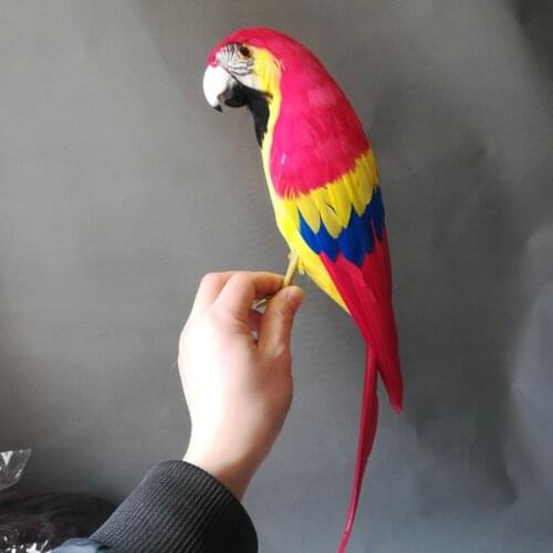 Real life toy colourful red feathers parrot model large 42cm bird home garden decoration prop toy gift h1064