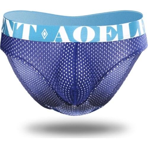 Mens Sexy Briefs Underwear Gay Ice Silk Panties Male Underpants Breathable Mesh Underwear Man Pouch Cueca New Briefs Plus Size