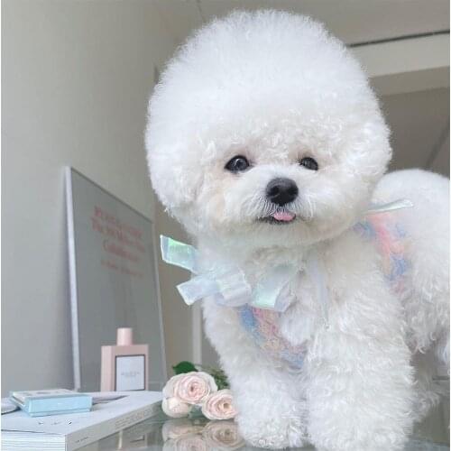 Summer and Autumn Mermaid Ji Embroidered Sling Skirt Chihuahua Yorkshire Pomeranian Bichon Poodle Schnauzer Shih Tzu maltese