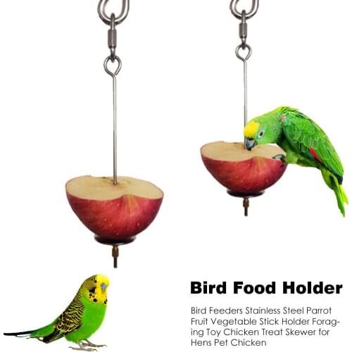 Pet Bird Food Holder 12cm 20cm Stainless Steel Bird Treat Skewer Parrot Toy Meat Food Holder Stick Birds Cage Accessories