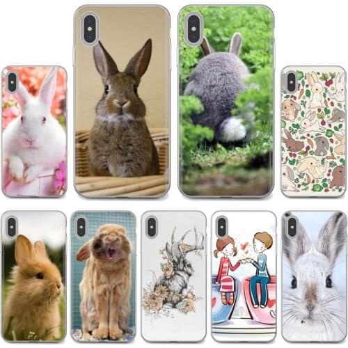 Rabbit For Samsung Galaxy J1 J2 J3 J4 J5 J6 J7 J8 Plus 2018 Prime 2015 2016 2017 EU Designer Silicone Phone Case