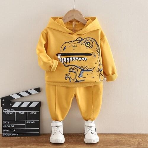 New Baby Boy Clothes Set Autumn Spring Long-sleeved Cotton Tracksuit Kids Cool Dinosaur Print Hoodie+Pants Toddler Girl Clothing