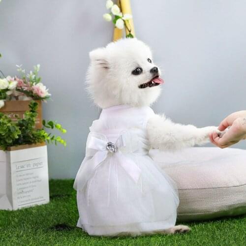 Spring Summer Pet Wedding Dress Dog Cat Lovely Bridesmaid Dress Wedding Dress Small Medium Sized Teddy Bomei Pet Supplies