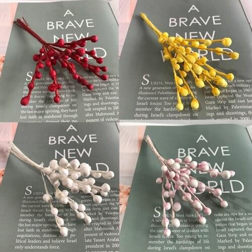 Bouquet Natural Eucalyptus Leaf Branch Dried Flower Real Palt DIY Home Decoration Wedding Jewelry