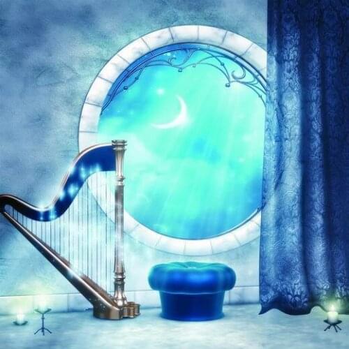 VinylBDS Beautiful Photography Background Cloth Series3923