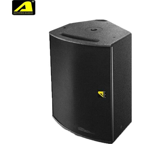 PS15 15inch Professional Outdoor Performance Loudspeaker Stage Monito