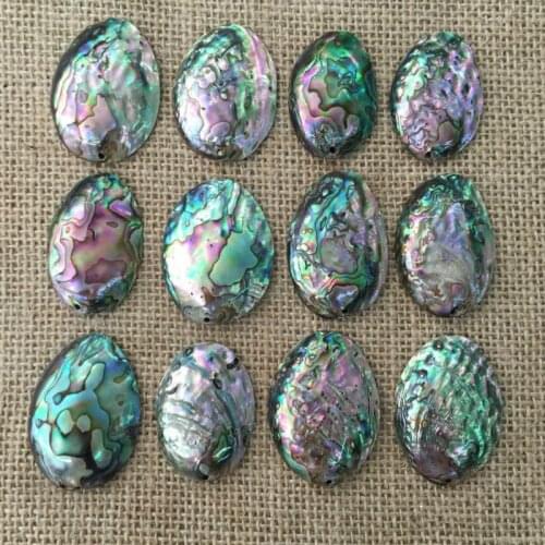 10pcs Seashell pendant New Zealand abalone colorful necklace with DIY handmade Natural New Zealand abalone shell DIY Home