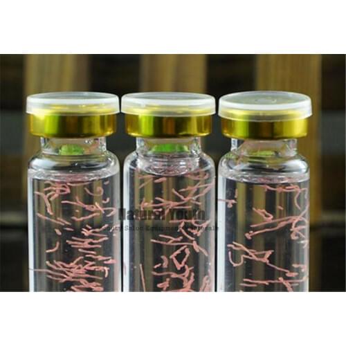 Astaxanthin Acid Eye Dark Circle Eye Bag Treatment Skin Firming Serum