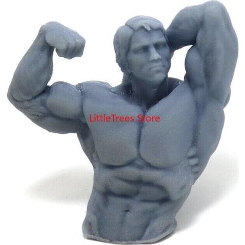60mm Resin Model Arnold Bodybuilding Bust 3D Print Figure Sculpture