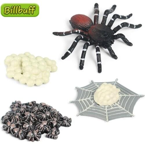 New Simulation Wild Animal ABS Spider Action Figures Collection Miniature Cognition Educational Toys for Children Christmas Gift