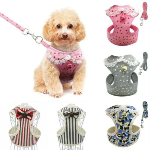 Breathable Mesh Small Dog Pet Harness and Leash Set Puppy Vest For Dog Cat Dog Cat Harness for Small Medium Dog