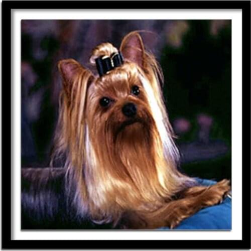 Diamant painting diamond painting full square Diamond embroidery animals dogs diamond round pictures of rhinestones 125DD