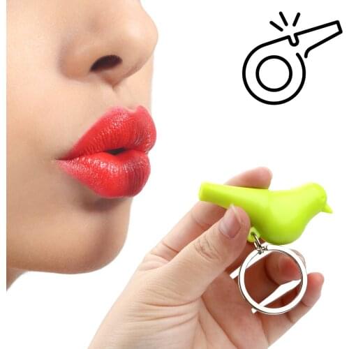 Wall Mounted Key Organizer Double Bird Nest Sparrow House Creative Couple Keychain Keyholder Hanger Bird Whistle Storage Rack