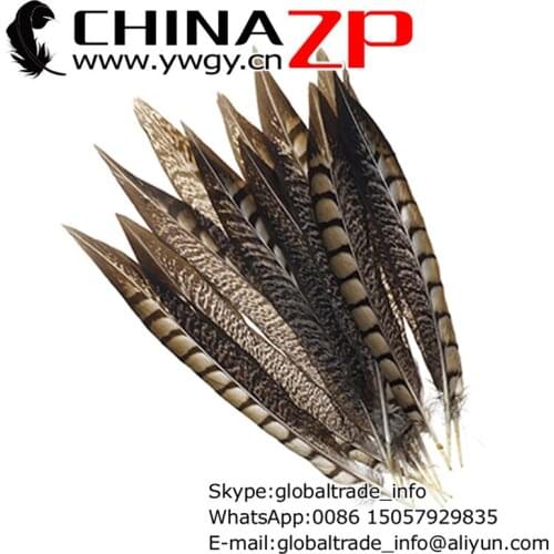 Leading Supplier CHINAZP Factory 100pcs/lot 30-35CM Length Natural Lady Amherst Pheasant Feathers