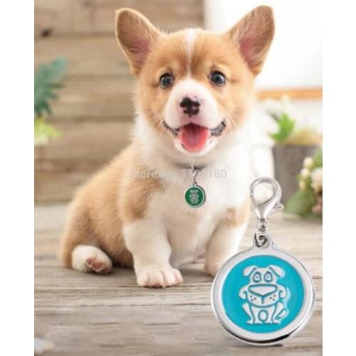 1000 pcs/lot Anti-lost Puppy Dog ID Tag Personalized Dogs Cats Name Tags Engraved Pet Nameplate Dog Accessories