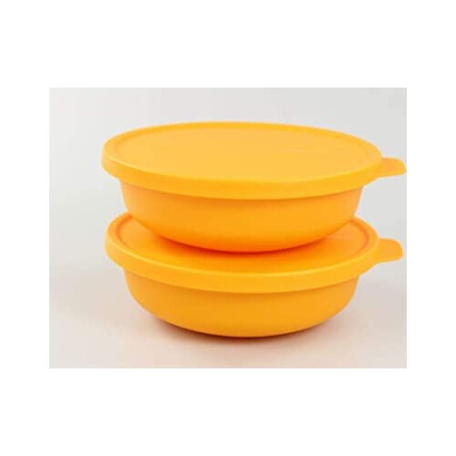 Tupperware Aloha Service and Storage Container (2x450 ml)