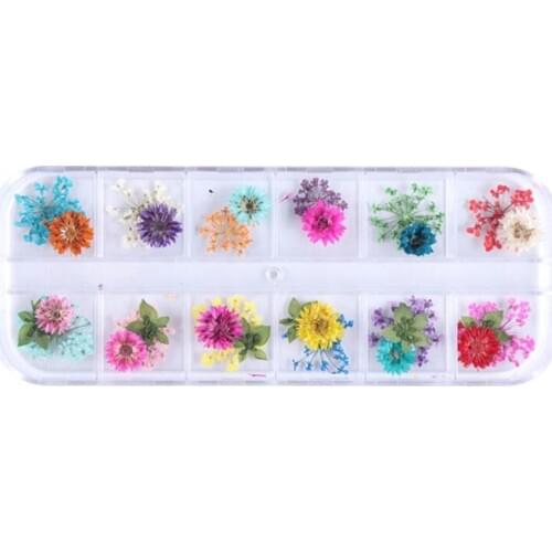 12 Grid/Box Crystal Epoxy Filler Dry Flower Handmade Flowers DIY Craft Silicone Molds UV Resin Filling Material Decoration Acces