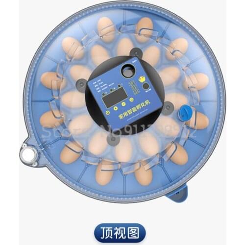 Incubator Small Household Automatic Incubator Intelligent Incubator Cockfighting Parrot Cole Duck Bird Incubator