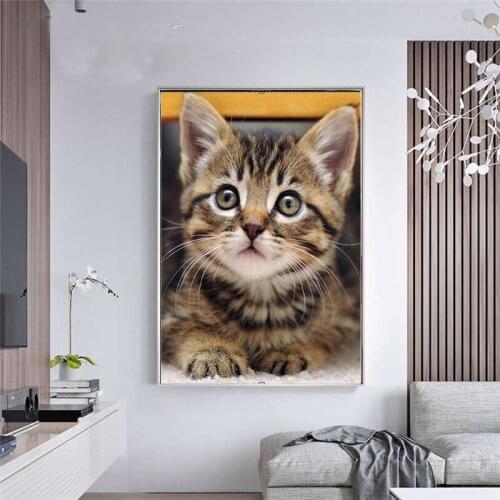 New full square/round diamond embroidered 5d diy diamond painting picture home decoration animal cat children gift HR36977