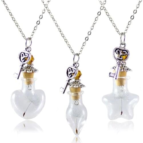 2PCS Natural Dandelion Seeds in Glass Handmade Dried Flower Necklace Best Wish Glass Bottle Long Chain Dandelion Necklace