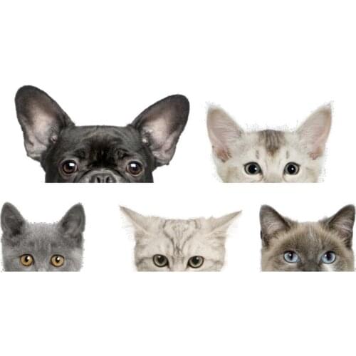 43X60cm Cat Dog Vivid Switch Wall Sticker Bathroom Toilet Kitchen Decorative Decals Funny Animals Decor Poster PVC Mural Art