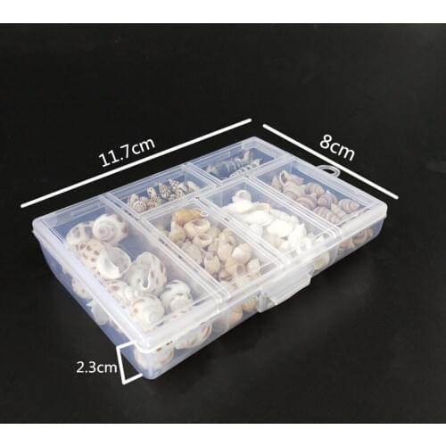 New 200Pcs/Box Natural name Conch Shells Mini Conch Corn Screw Wall Decoration Aquarium Landscape Seashells Crafts party sea