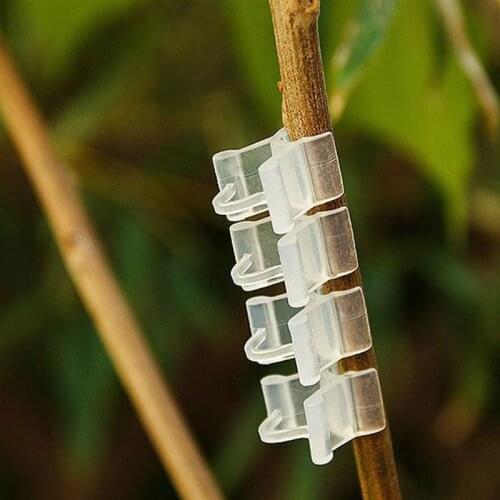 150Pcs Caliber Plant Grafting Clips Vegetables Tomato Vine Stalks Grow Support Fixing Clips for Garden(2.2-4.5mm Diameter Plant)