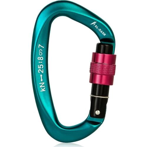 25KN Professional Climbing Carabiner Screw Locking Gate Carabiner Heavy Duty Buckle D-ring Carabiner Climbing Camping Equipment