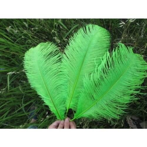 Wholesale 50pcs / lot high quality ostrich feathers 22-24 inches / 55-60 cm green feather stage decoration celebration