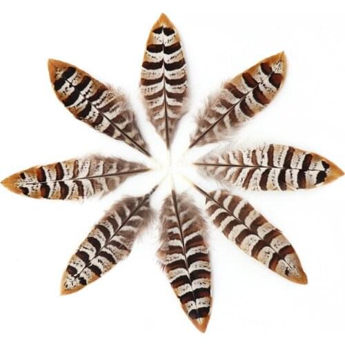 50pcs/lot Pheasant Tail Feathers 10-15CM Campanula Decor Clothing Feathers for Crafts Jewelry Making Decorative Plumes Plumas