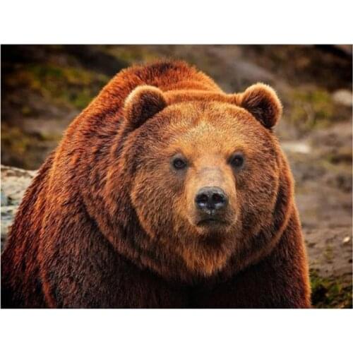 5D DIY Full Square/Round Animal Cute Bear Cross Stitch Diamond Painting Embroidery Mosaic Rhinestone Picture Home Decor FH710