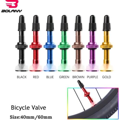 1 pcs Bolany 40MM/60MM MTB Bicycle Extender Valves For Bike Tubeless Tire Core Aluminum Alloy Valve Bike Repair Accessories