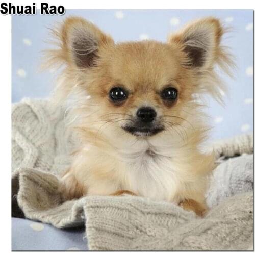 5d diy diamond mosaic chihuahua cute dog sale diamond painting cross stitch kits 3d embroidery full rhinestone home decoration