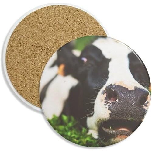 Pcture Terrestrial Organism Animal Cow Ceramic Coaster Cup Mug Holder Absorbent Stone for Drinks 2pcs Gift