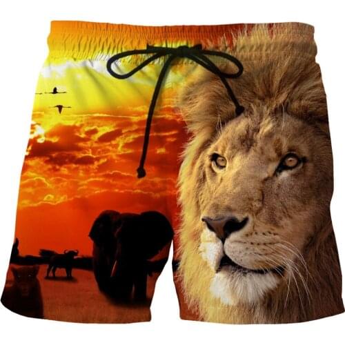LOVE SPARK Mens Street Lion Print Summer Shorts S To 6xL 3D Fast Dry Light Yoga Jogging Gold Beach Shorts For Boys
