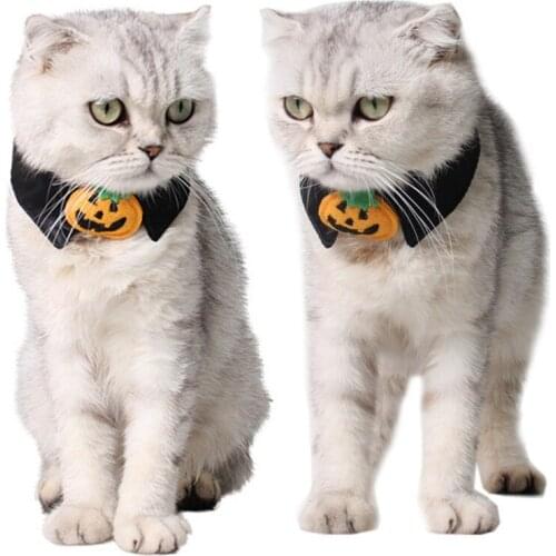 2020 Halloween Cat Collar Pumpkim Pet Cat Holiday Accessories Dog Halloween Dog Collar Pet Party Decorations