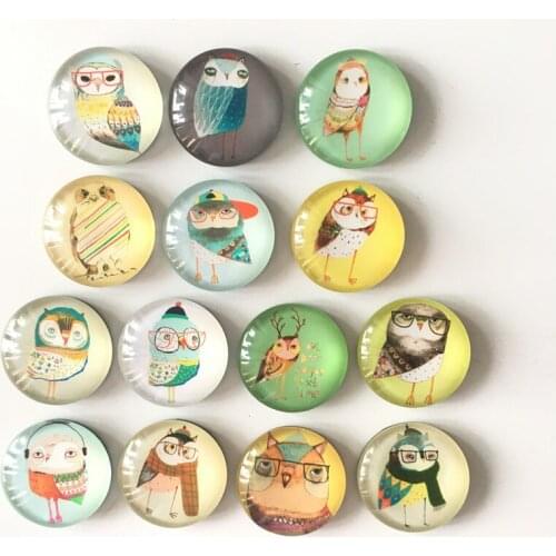 Free shipping (14pcs/lot) Dia.3cm Various Owl Fridge Magnet Cartoon animal message sticker Kitchen Home Decoration Party Gift