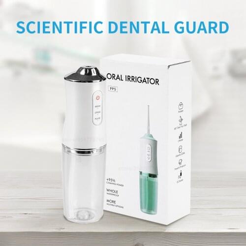 Oral Irrigator 4 Nozzles Water Flosser 220ML Water Tank Flossing Teeth Cleaner Cordless USB Electric Dental Irrigator Pulse Flos